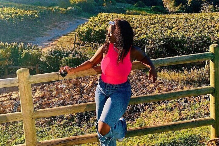 Exclusive Wine Journey with Expert Guide through Cape Winelands