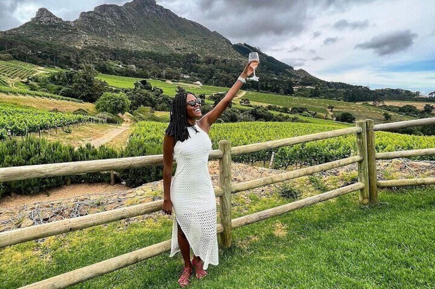 Exclusive Wine Journey with Expert Guide through Cape Winelands