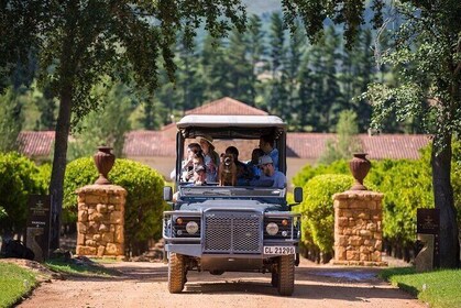 Private Wine Safari Drive At Waterford Wine Estate