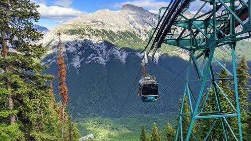 Calgary: Banff Gondola/Upper Hot Springs, Johnston Canyon