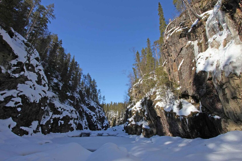 Picture 2 for Activity Rovaniemi: Auttiköngäs Winter Wilderness Hike & BBQ