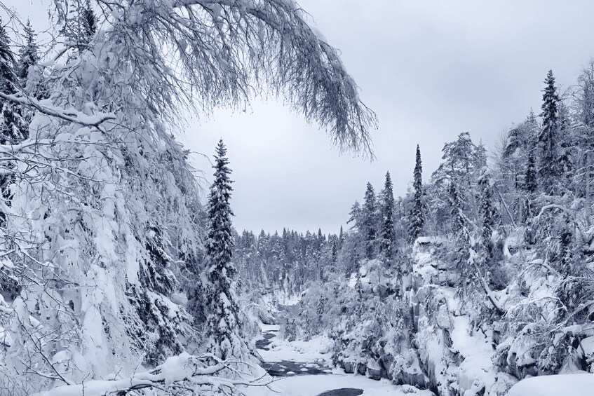 Picture 4 for Activity Rovaniemi: Auttiköngäs Winter Wilderness Hike & BBQ