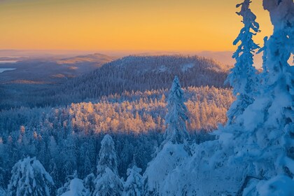 Rovaniemi: caminata y barbacoa en la naturaleza invernal de Auttiköngäs