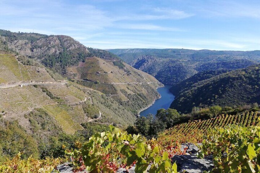 Ribeira Sacra Tour with Cruise along the Sil River and Ourense