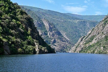 Ribeira Sacra Tour with Cruise along the Sil River and Ourense