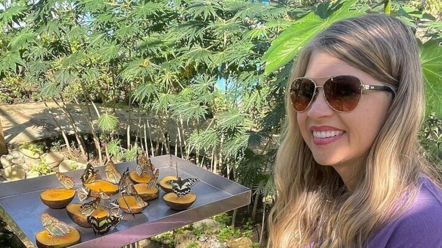 Puerto Plata City Tour with Butterfly Garden