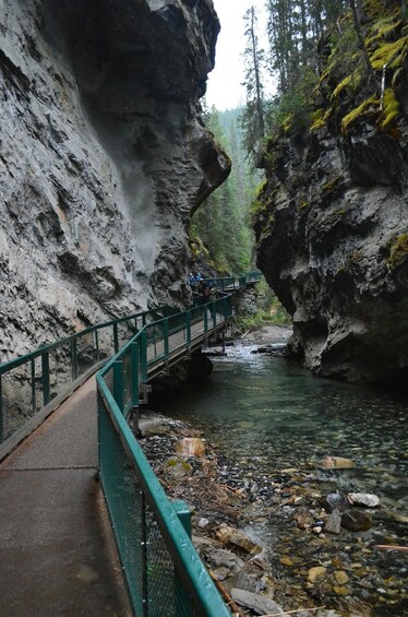 Picture 8 for Activity Banff: Private Lake Louise & Johnston Canyon Day Tour