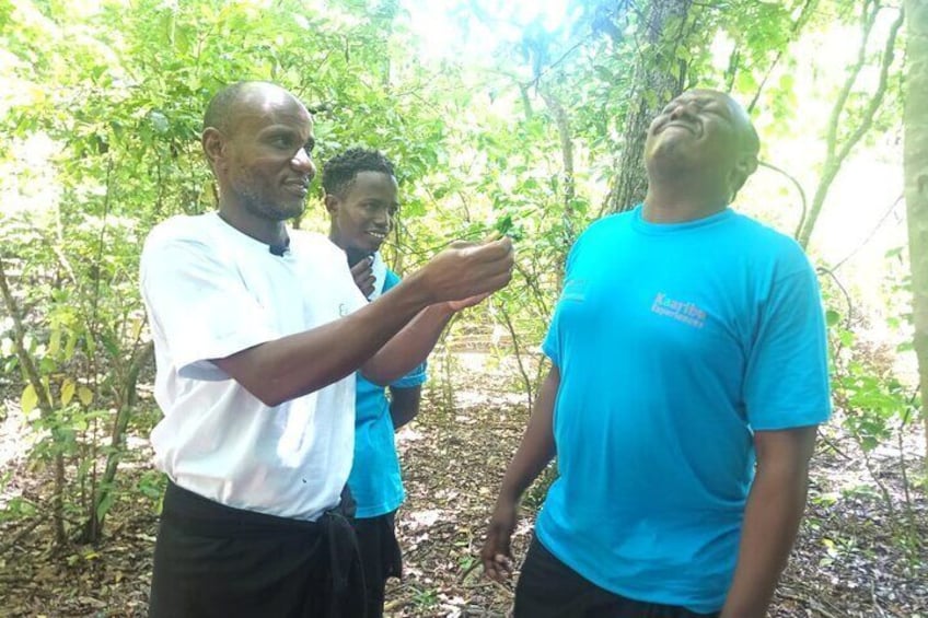 Private Historical Kaya Kinondo Sacred Forest Tour with Guide