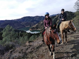 Wine Country Horseback Adventure
