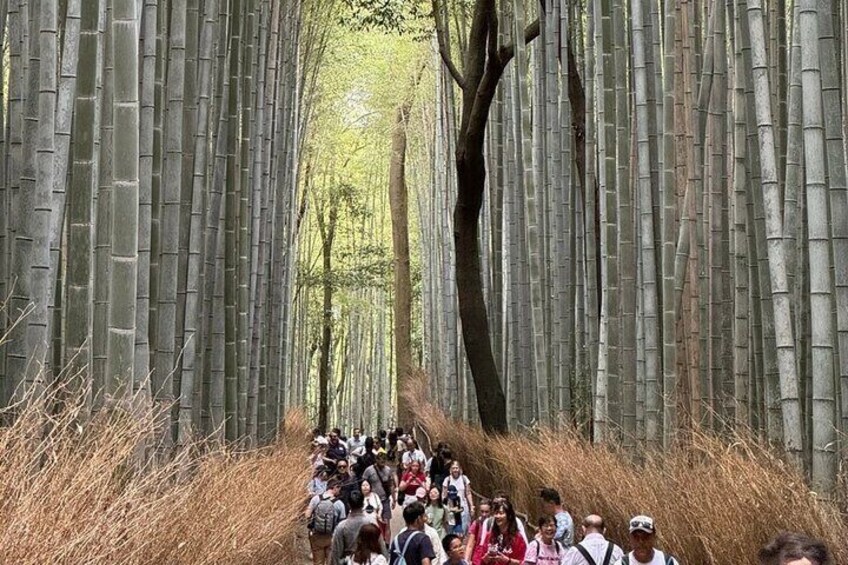 Private Guided Food Walking Tour in Kyoto