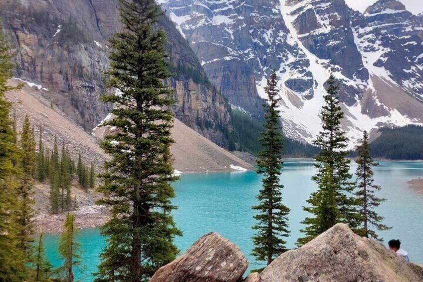 Private Tour Banff Yoho Jasper National Park for a Small Group