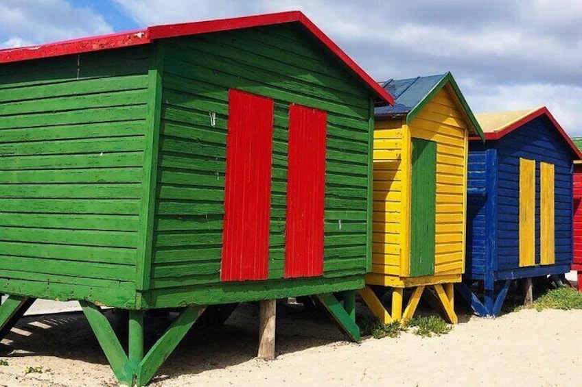 Botanical Garden, Muizenberg Beach and Colony of African Penguins