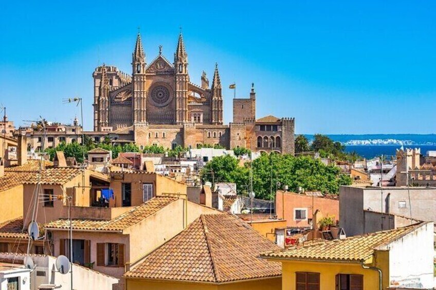 Palma de Mallorca Street Food Private Tour With A Local Guide