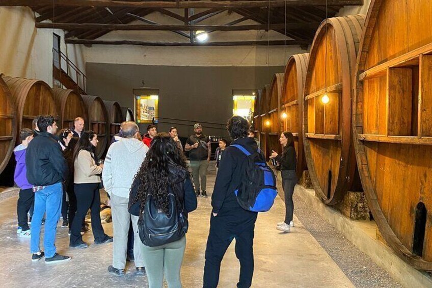 Tour 3 wineries all inclusive!