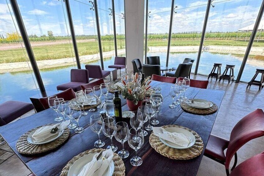 Maipu Tour 3 wineries with all inclusive lunch!