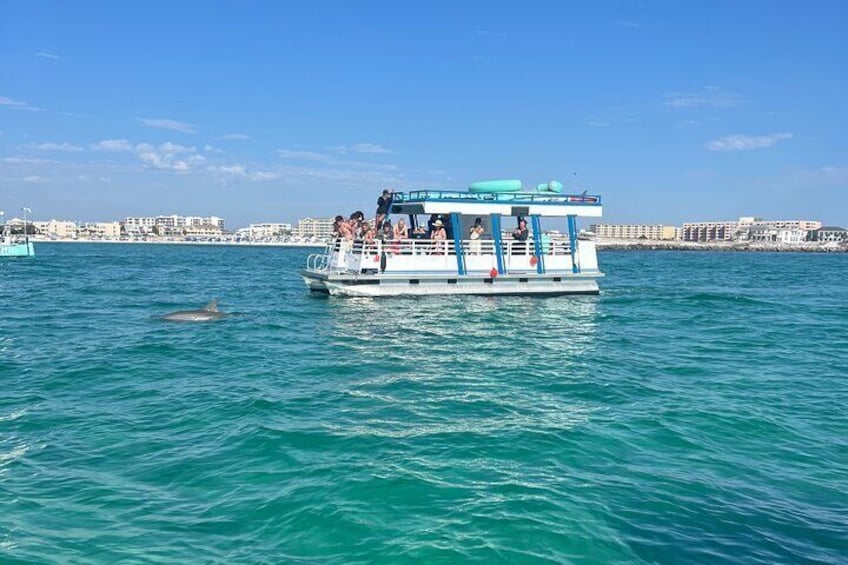 One Hour Harbor Shared Tour with Dolphin Watching 