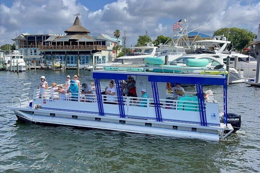 One Hour Harbor Shared Tour with Dolphin Watching 