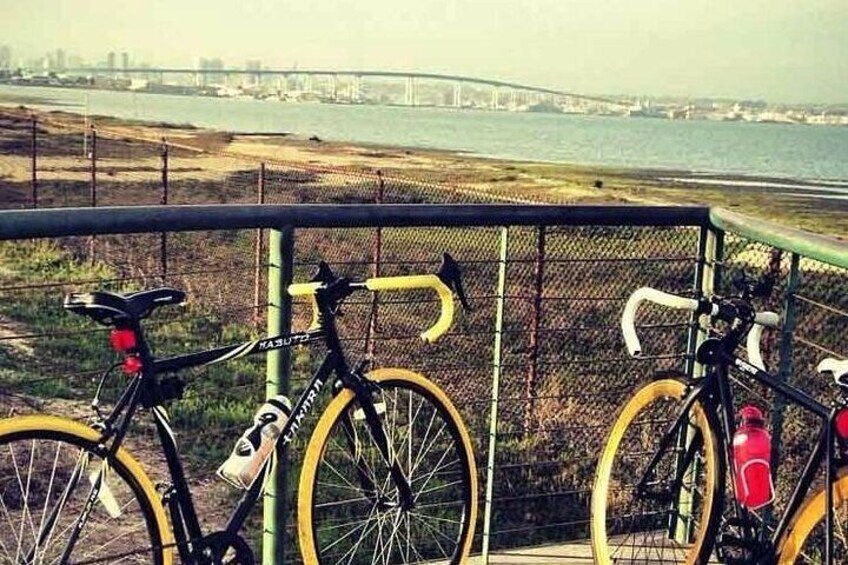 Rest Stop with a View of the Coronado Bridge