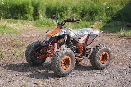 Guided quad bike Wilderness Ride in North Gower