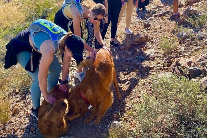 Scottsdale Bachelorette Party Guided Hike 