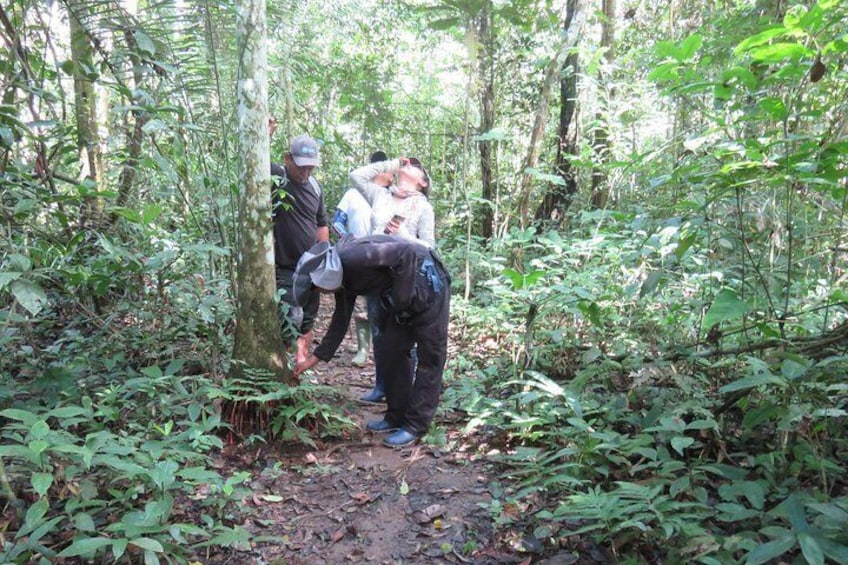 https://media-cdn.tripadvisor.com/media/attractions-splice-spp-720x480/13/e4/71/cb.jpg