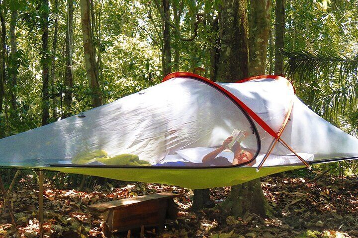 Bolivian Amazon: 3 days, Madidi Nat. Park with treetents