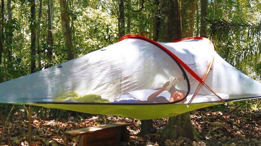 Bolivian Amazon: 3 days, Madidi Nat. Park with treetents