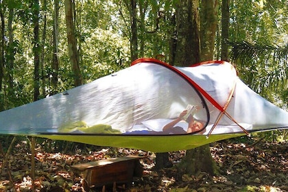 Bolivian Amazon: 3 days, Madidi Nat. Park with treetents