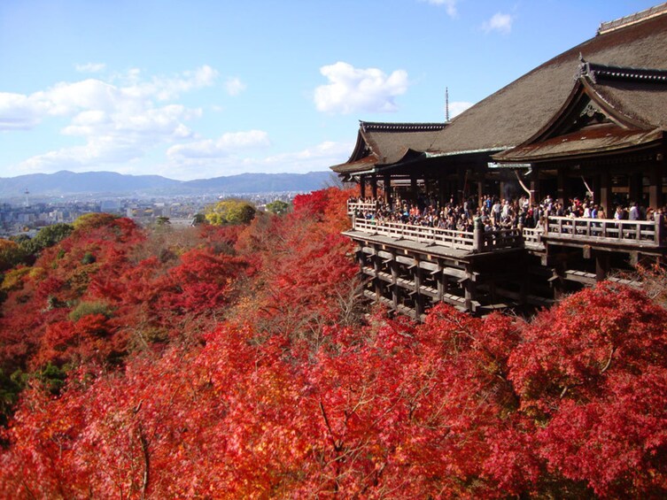 PERFECT KYOTO 1Day Bus Tour