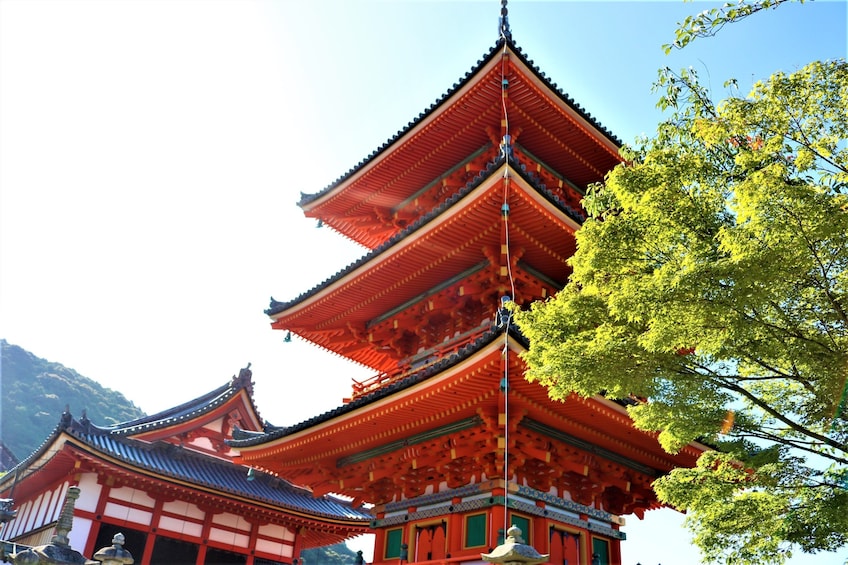 Temple in Kyoto