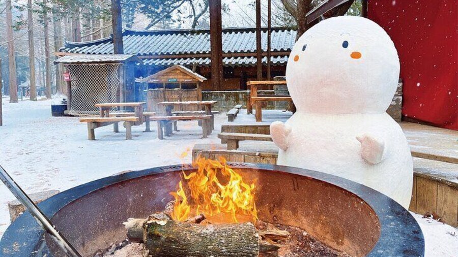 Half Day Tour to Eobi Ice Valley and Nami Island