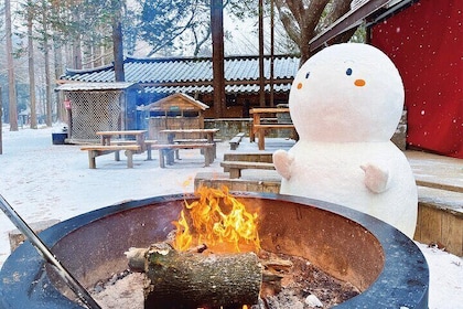 Halbtagestour zum Eobi-Eistal und zur Insel Nami