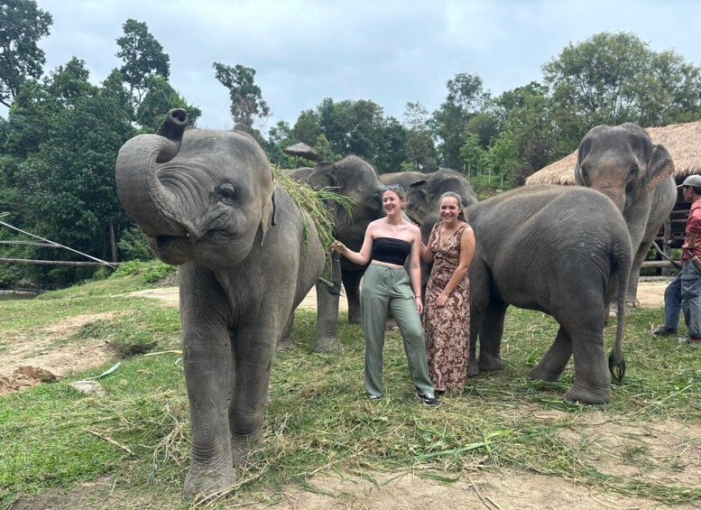 Picture 17 for Activity Chiang Mai: Elephant Sanctuary & Waterfall Group Tour