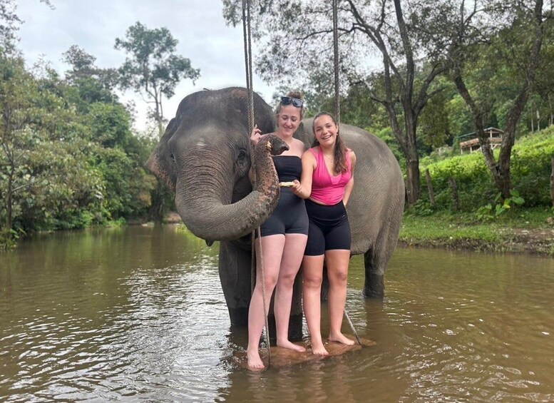 Chiang Mai: Elephant Sanctuary & Waterfall Group Tour