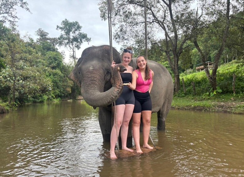 Chiang Mai: Elephant Sanctuary & Waterfall Group Tour