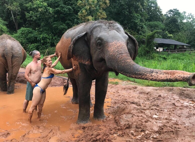 Picture 6 for Activity Chiang Mai: Elephant Sanctuary & Waterfall Group Tour