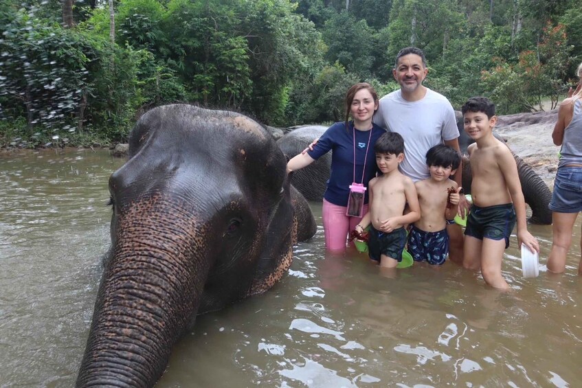 Picture 29 for Activity Chiang Mai: Elephant Sanctuary & Waterfall Group Tour