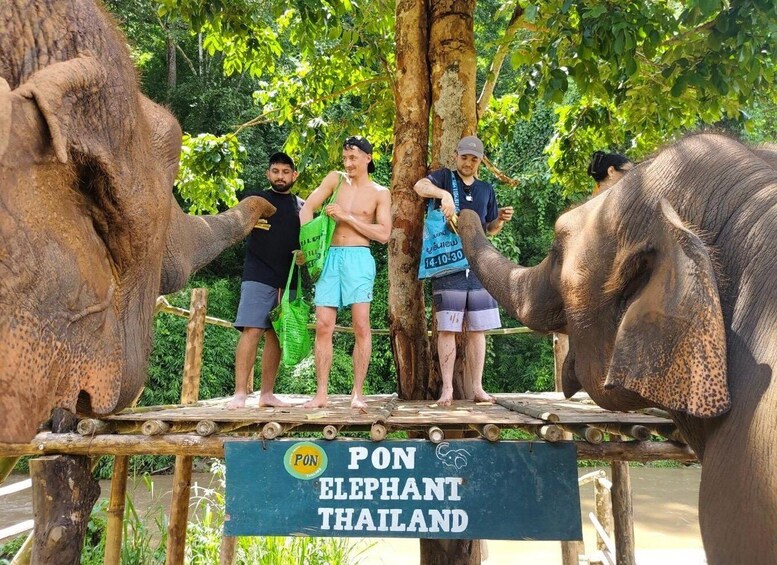 Picture 44 for Activity Chiang Mai: Elephant Sanctuary & Waterfall Group Tour