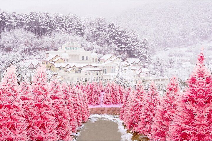 From Seoul : Winter One Day Tour in Pocheon