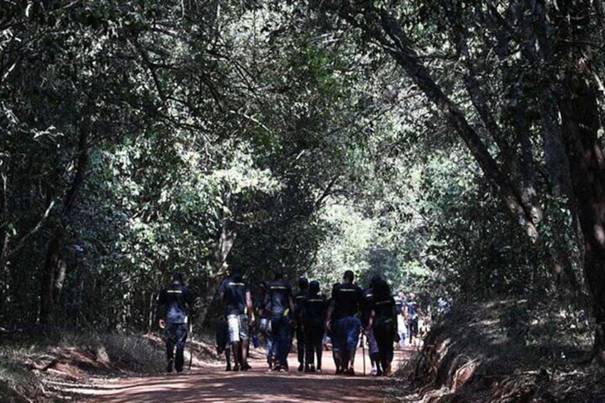 Karura Forest Nature Trail Day Tour