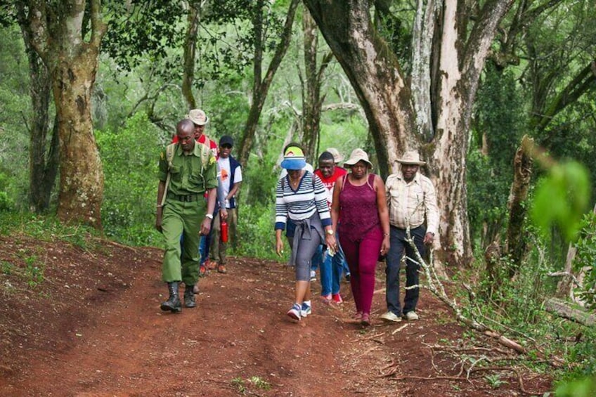 Karura Forest Nature Trail Day Tour