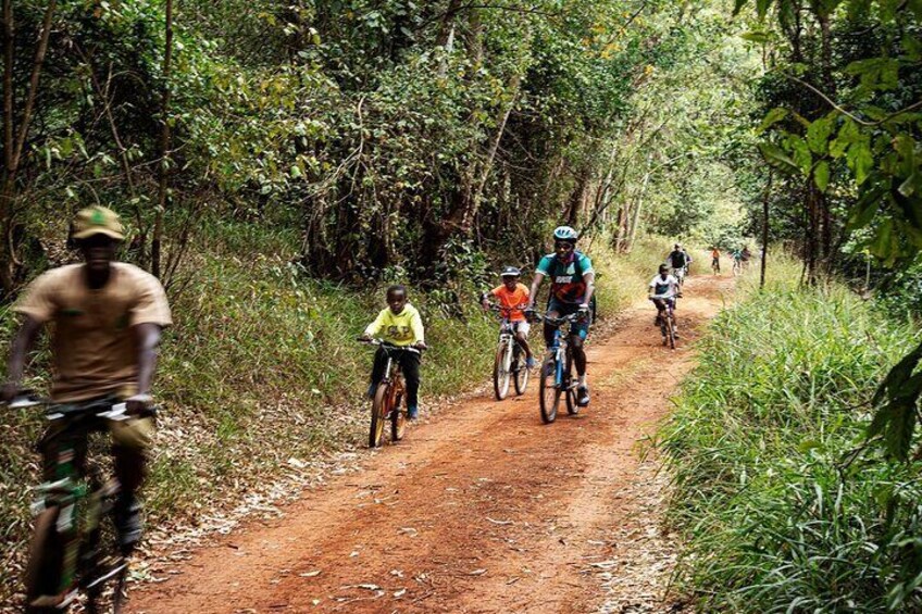Karura Forest Nature Trail Day Tour
