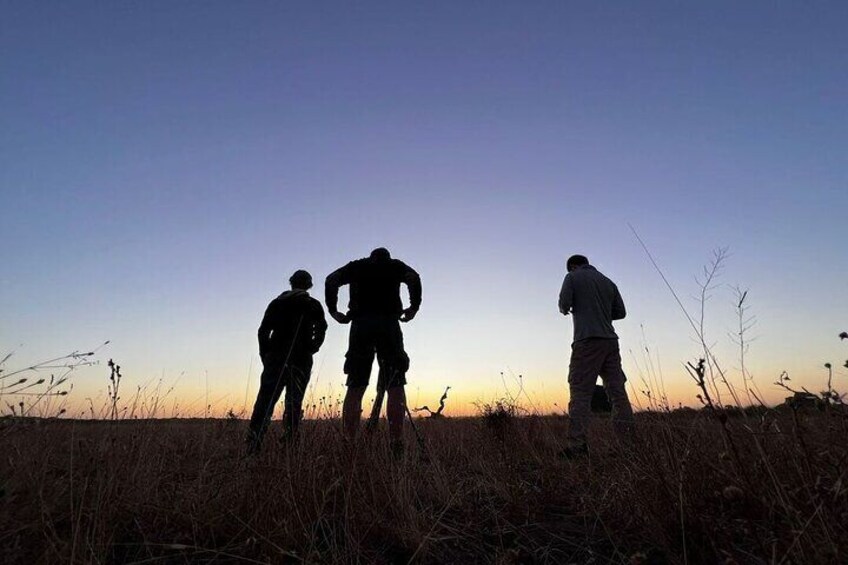 Exploring Doñana and the Iberian Lynx