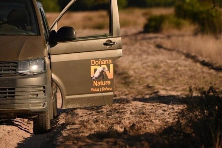 Exploring Doñana and the Iberian Lynx
