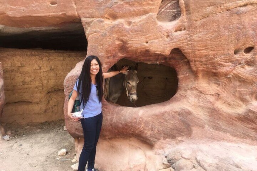 Self Guided Walking Tour of Petra Main Trail with Mobile App