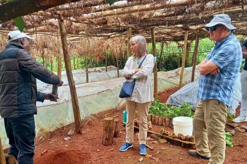 The process of tea planting is explained by the farm manager. 