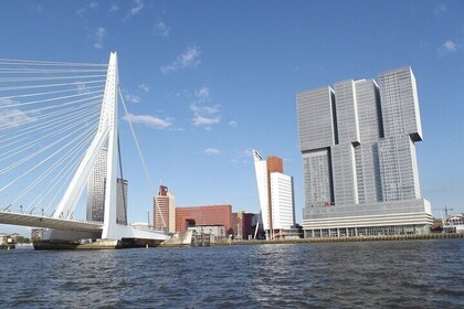 Privé wandeltocht Rotterdam