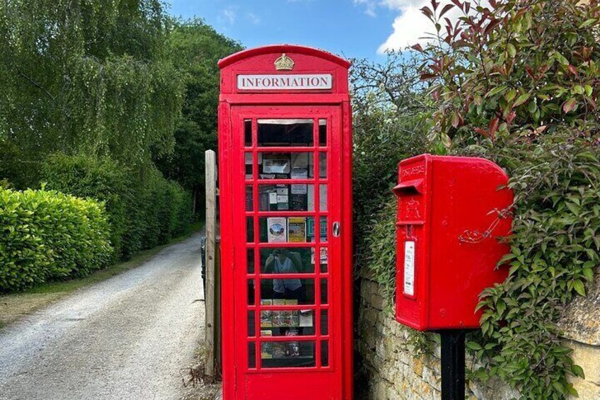 Lavender Fields & The Cotswolds: Fragrant Walk & Cream Tea