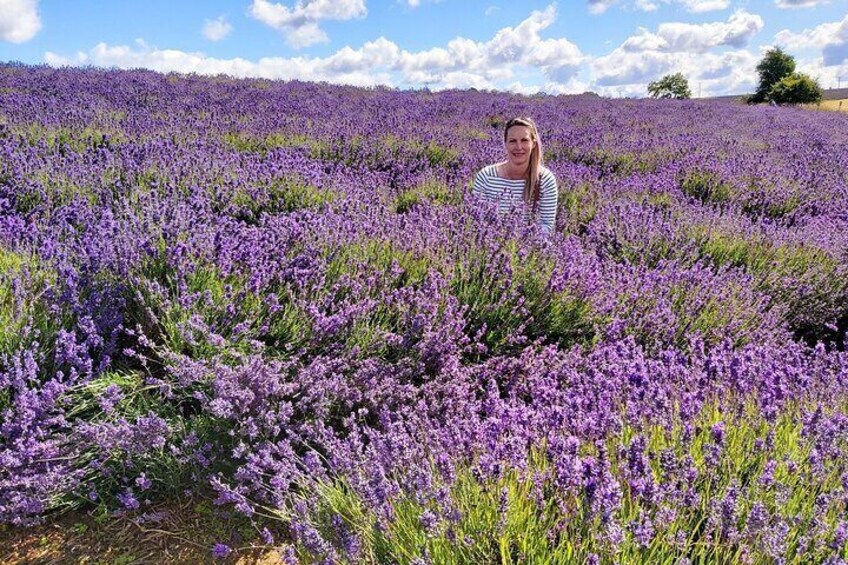 Lavender Fields & The Cotswolds: Fragrant Walk & Cream Tea