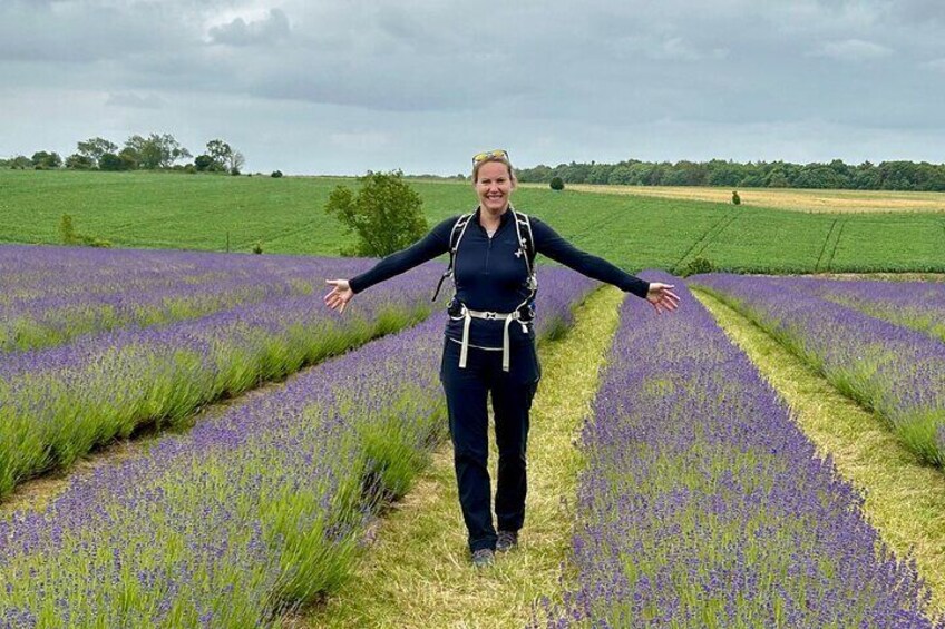 Lavender Fields & The Cotswolds: Fragrant Walk & Cream Tea 